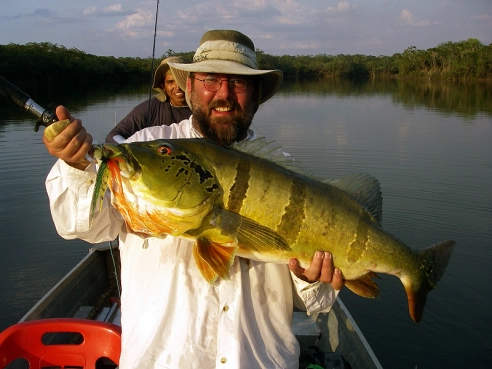 Peacock bass Peacock bass