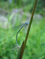 Having fun Having fun