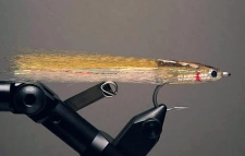 The Surf Candy The Surf Candy