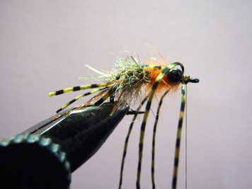 Arrange legs Arrange legs