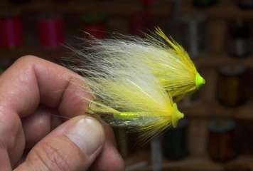 Flat heads Flat heads