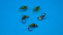 Video thumb for Small Jig Headed Pheasant Tail Nymphs