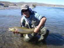User submitted picture: Nice Brown!