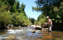 User submitted picture: Estero Cordilleranos de l...