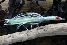 User submitted picture: Seatrout pattern.
