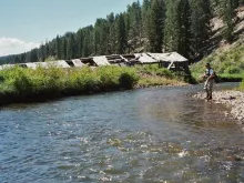 User submitted picture: Working the bank on Color...