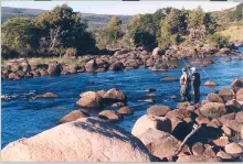 User submitted picture: Rio PulmarÃ­. Fish betwen ...