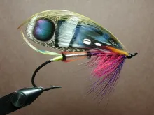 User submitted picture: The Phasianad-After a few...