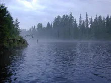 User submitted picture: Nice evening, Sedges and ...