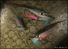 User submitted picture: Sillen family