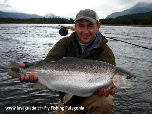 User submitted picture: www.lavaguada.cl: Fly Fis...