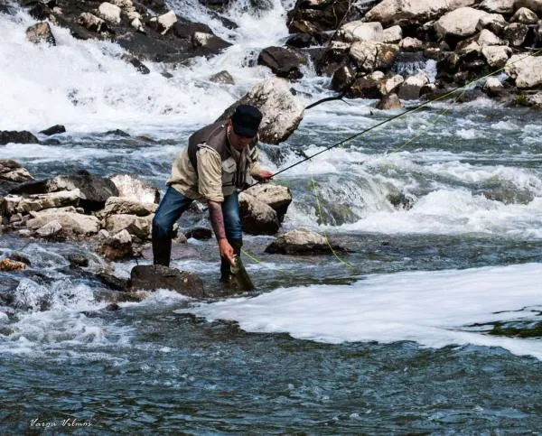 User submitted picture: Go home fish