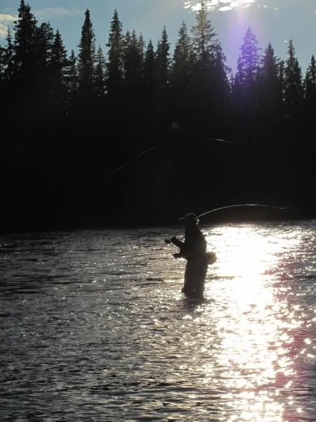 User submitted picture: evening cast 2 by www.gui...