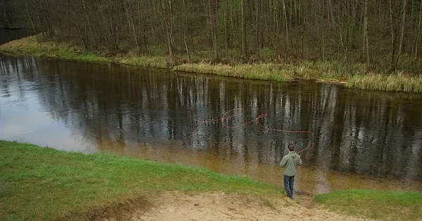 User submitted picture: Snake...