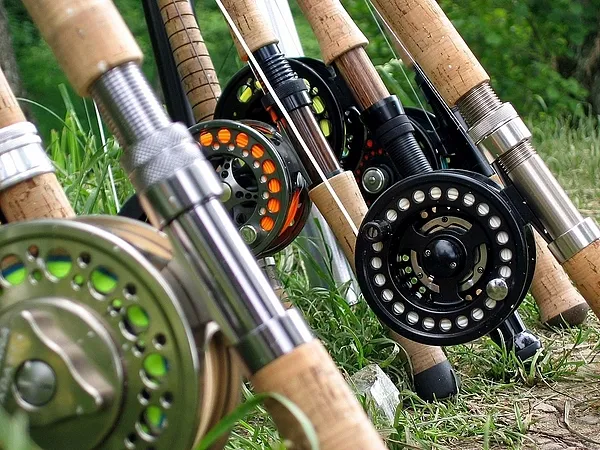 User submitted picture: Lunch hour in the "Broth...